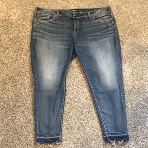 Silver Jeans - Plus Size